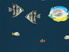 深海娱乐吃瓜,揭秘娱乐圈的“吃瓜”风云